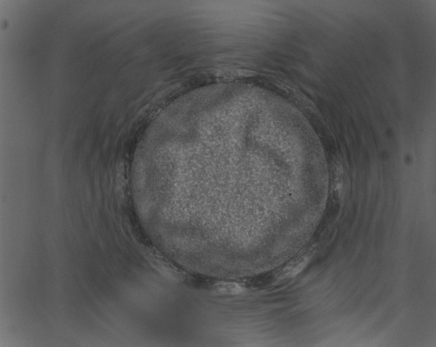 X0000062670519200601111247