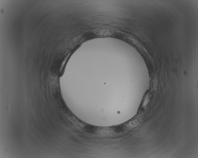 X0000062670521200601111247