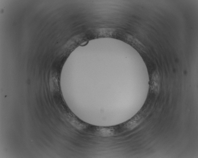 X0000062670522200601111247