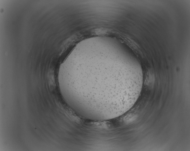 X0000062670524200601111247