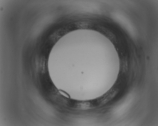 X0000062670525200601111247