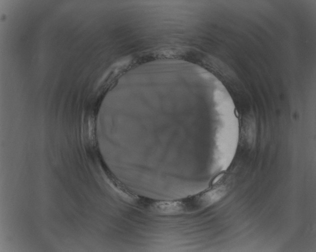 X0000062670526200601111247