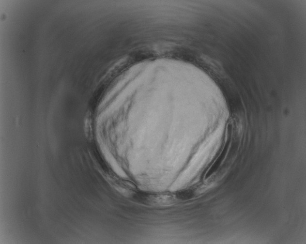 X0000062670527200601111247