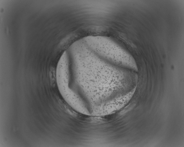 X0000062670528200601111247