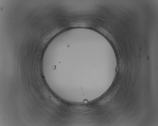 X0000062670529200601111246