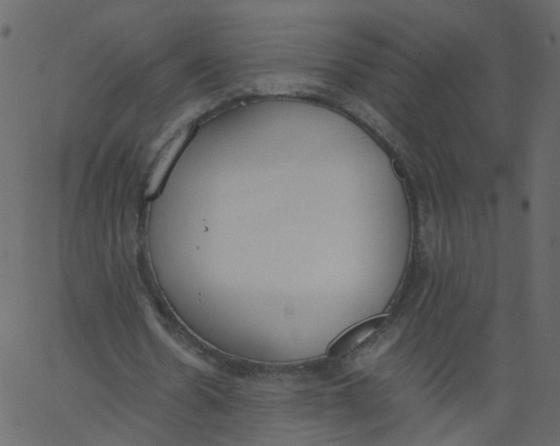 X0000062670530200601111246