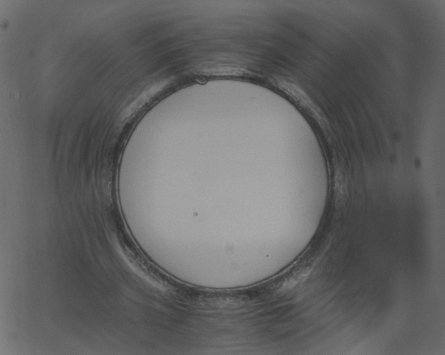 X0000062670533200601111246