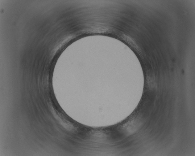 X0000062670534200601111246