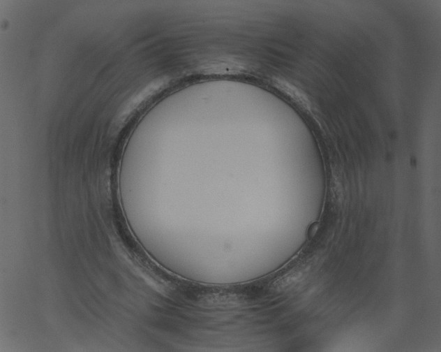 X0000062670535200601111246