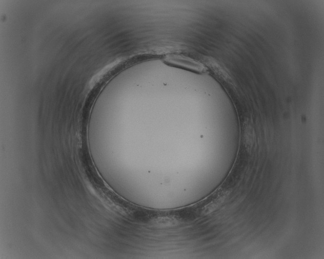 X0000062670536200601111246