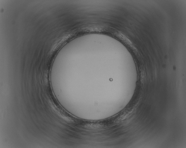 X0000062670537200601111246