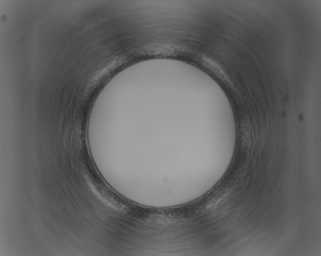 X0000062670538200601111246