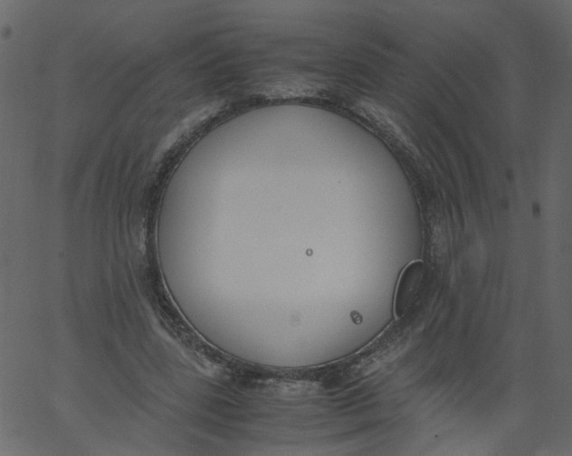 X0000062670539200601111246