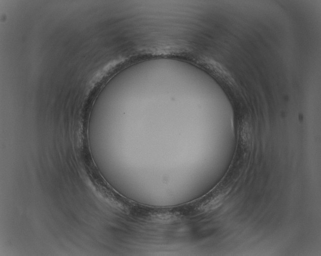 X0000062670540200601111246