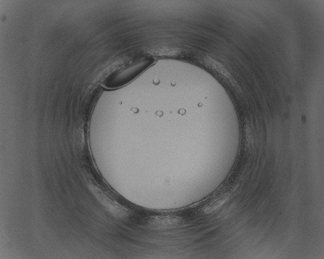 X0000062670541200601111246