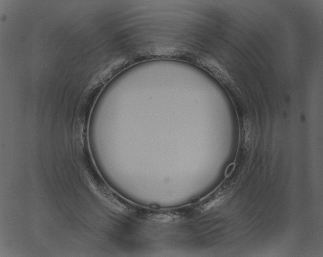 X0000062670542200601111246