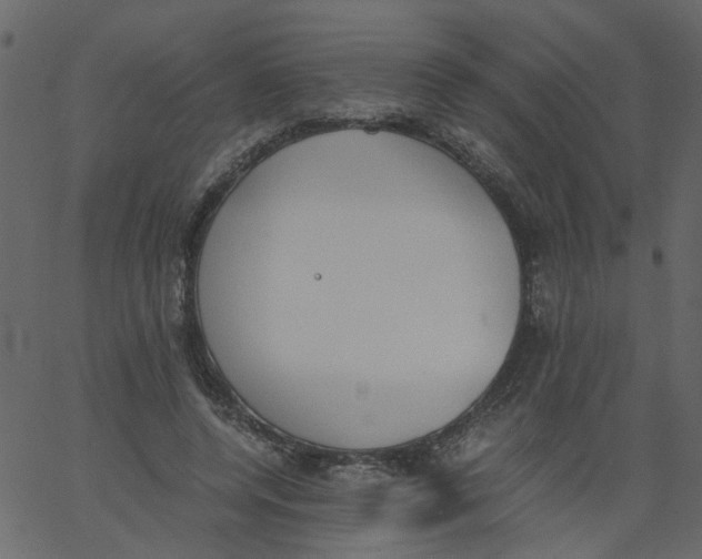 X0000062670544200601111246