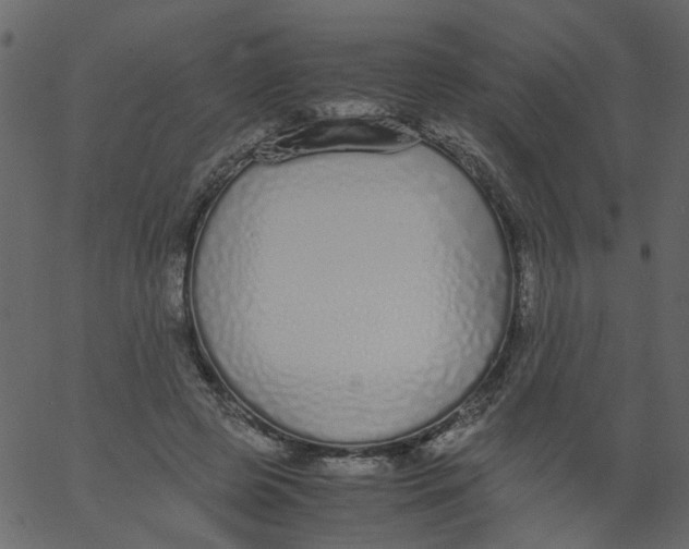 X0000062670545200601111247