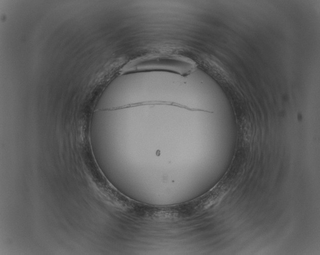 X0000062670546200601111247