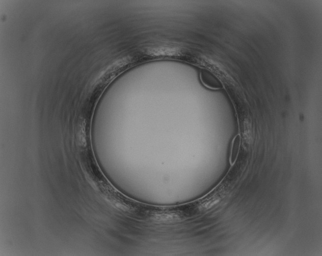 X0000062670547200601111247