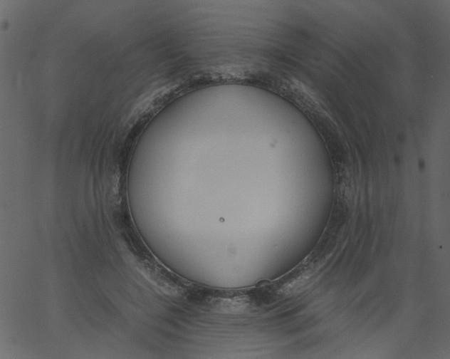 X0000062670548200601111247