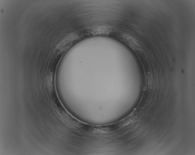 X0000062670550200601111247