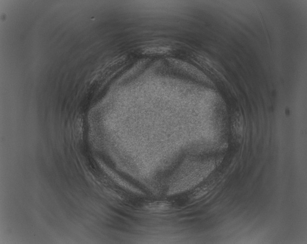 X0000062670551200601111247