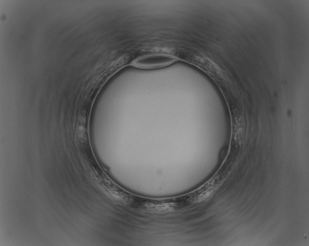 X0000062670553200601111247