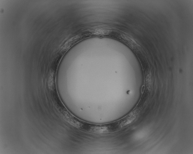 X0000062670554200601111247