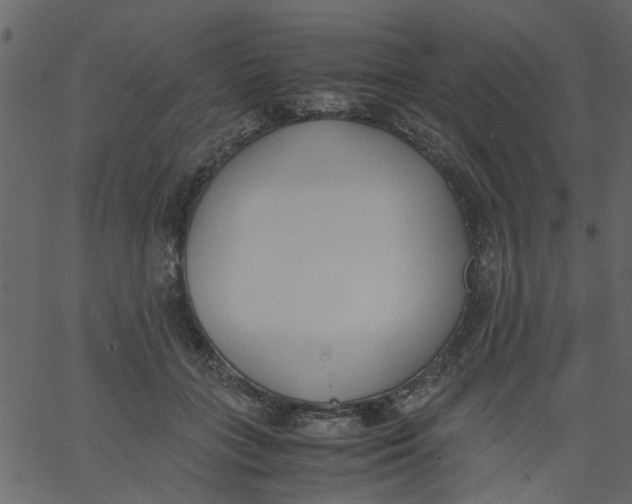 X0000062670555200601111247