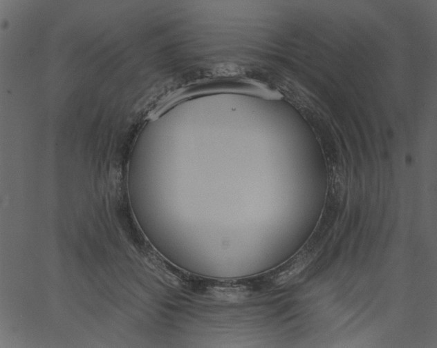 X0000062670556200601111247