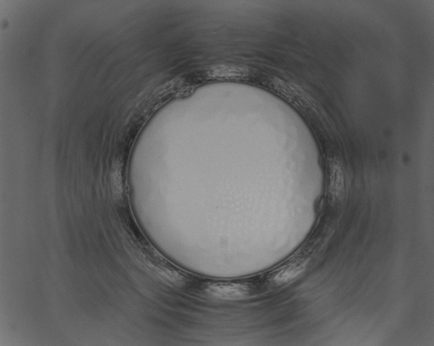 X0000062670557200601111247