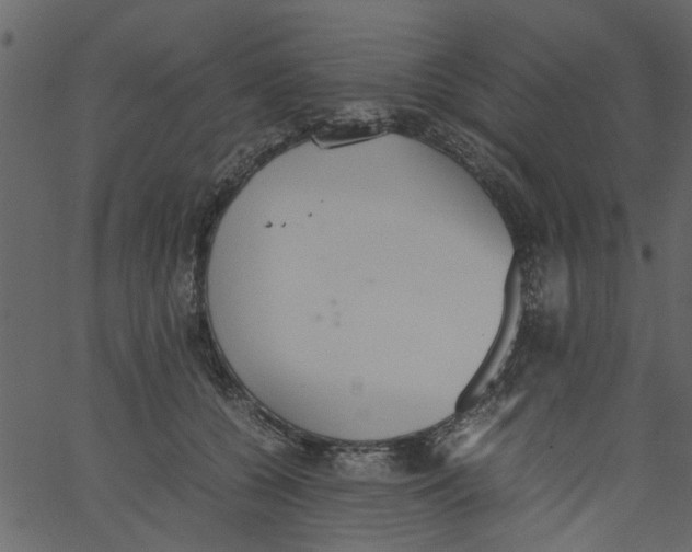 X0000062670560200601111247