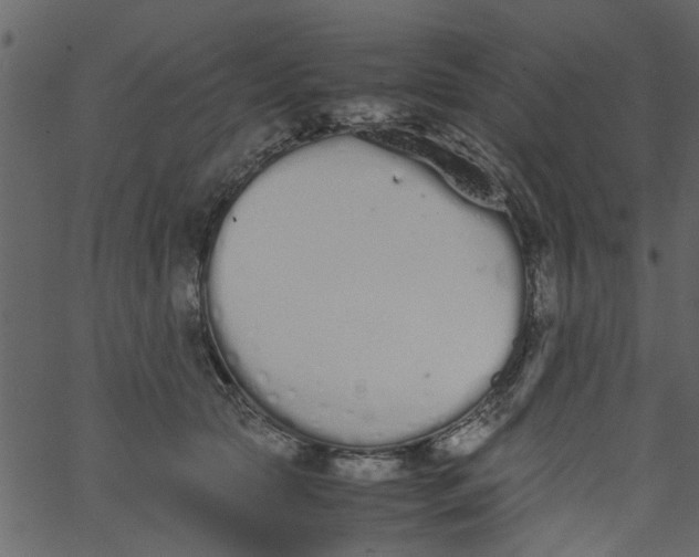 X0000062670561200601111247