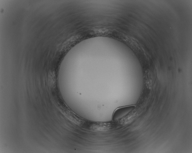 X0000062670563200601111247