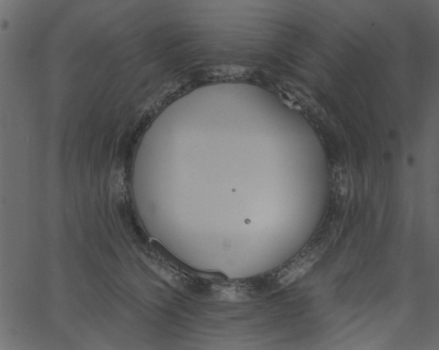 X0000062670564200601111247