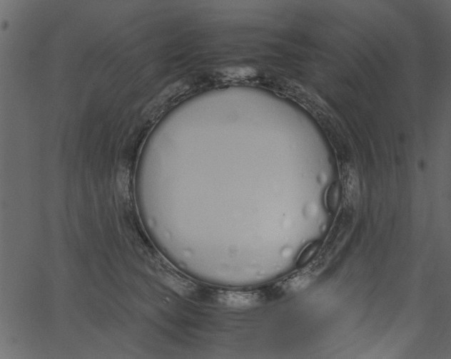 X0000062670565200601111247