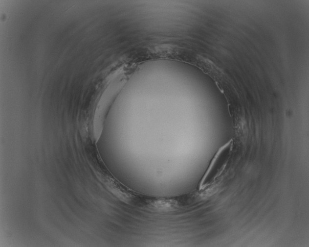 X0000062670566200601111247