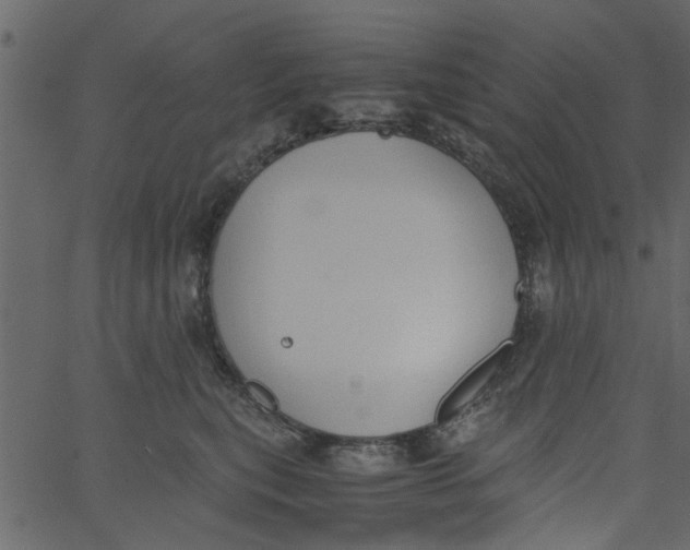 X0000062670567200601111247