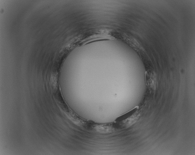 X0000062670568200601111247