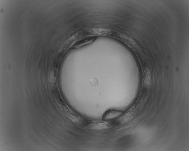 X0000062670569200601111247