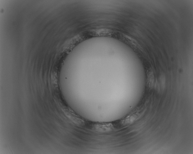 X0000062670571200601111247