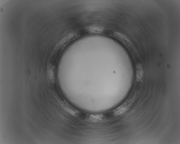 X0000062670573200601111247