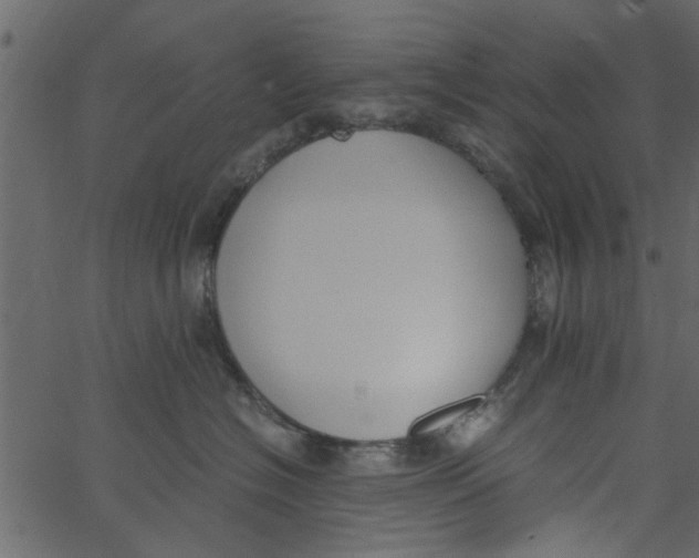 X0000062670574200601111247