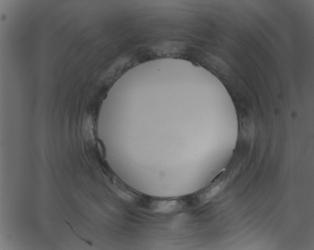 X0000062670575200601111247