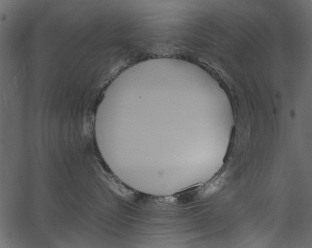 X0000062670576200601111247