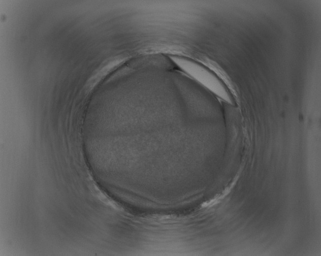 X0000062670577200601111246