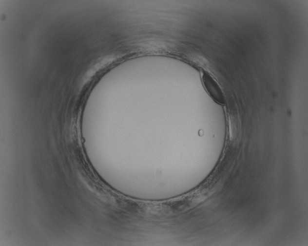 X0000062670579200601111246