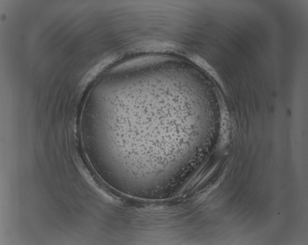 X0000062670581200601111246