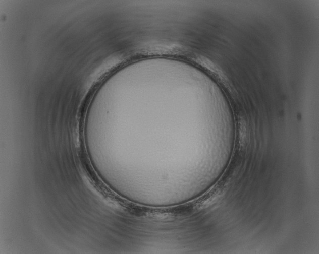 X0000062670582200601111246